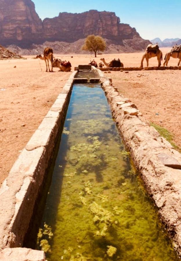 Wadi Rum Ecco Εξωτερικό φωτογραφία