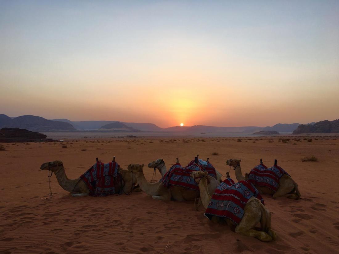 Wadi Rum Ecco Εξωτερικό φωτογραφία