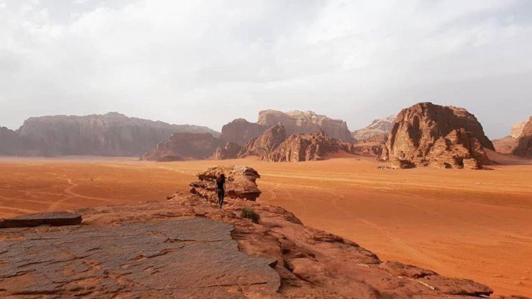 Wadi Rum Ecco Εξωτερικό φωτογραφία